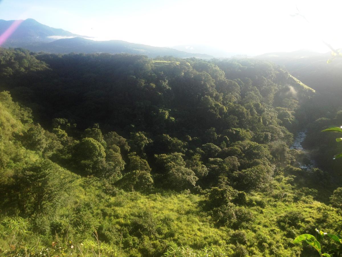 El Risco Hostel: Bed And BreakfastAlto Boquete エクステリア 写真