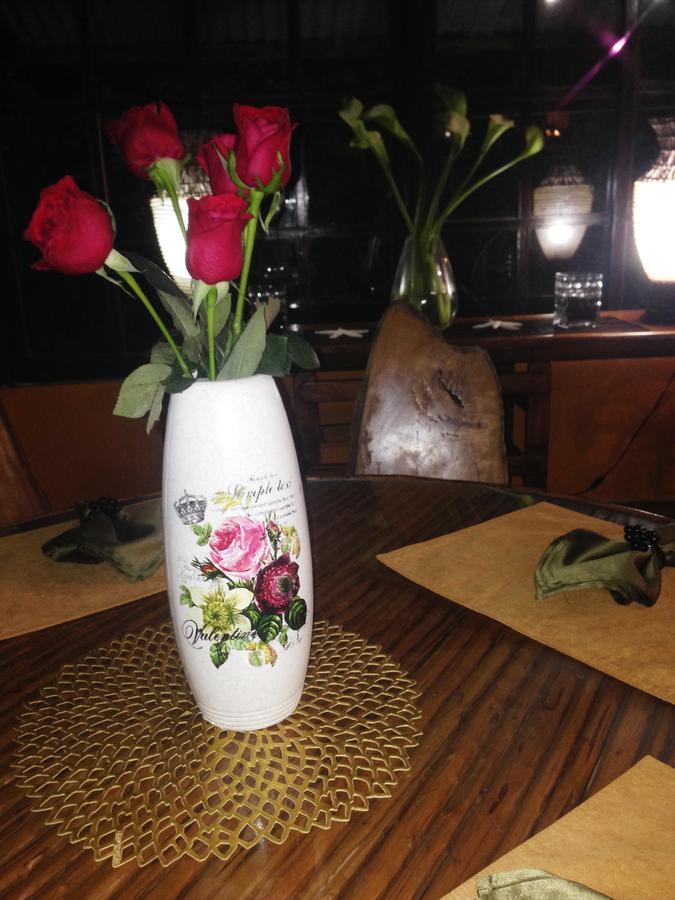 El Risco Hostel: Bed And BreakfastAlto Boquete エクステリア 写真